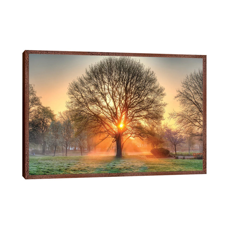 Basking In The Glow by David Gardiner - Wrapped Canvas Gallery-Wrapped Canvas Giclée, 66.04 cm H x 45.72 cm W