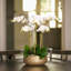 Orchid Floral Arrangement in Planter-249749295-249749282-249749293