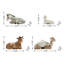12pcs Ivory Resin Nativity Figurine Set-561437681-561437679