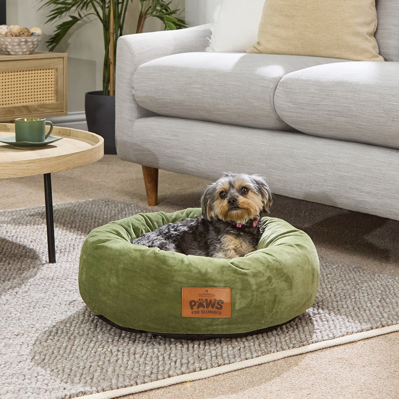 Slumberdown Paws for Slumber Donut Pet Bed, Small (11 -25 lbs), Small (55cm W x 17cm D x 55cm H), Green