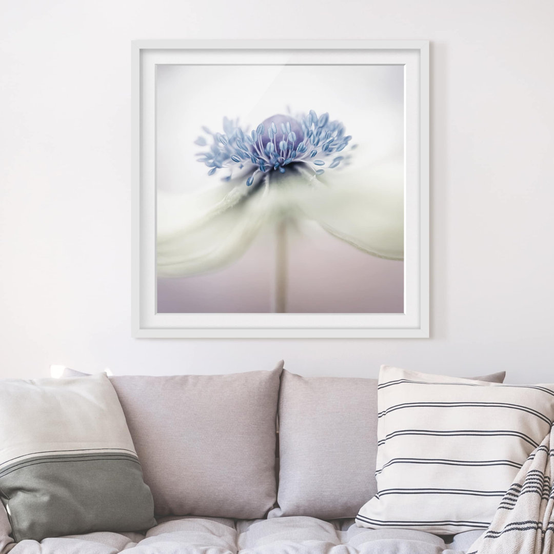 Gerahmtes Papierbild Anemone in Violett