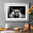 " Photography Study Highland Cattle "-845798269-845798019-845788058