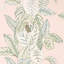 Calathea Wallpaper-50889004