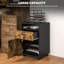 Alliette 1 Drawer Filing Cabinet