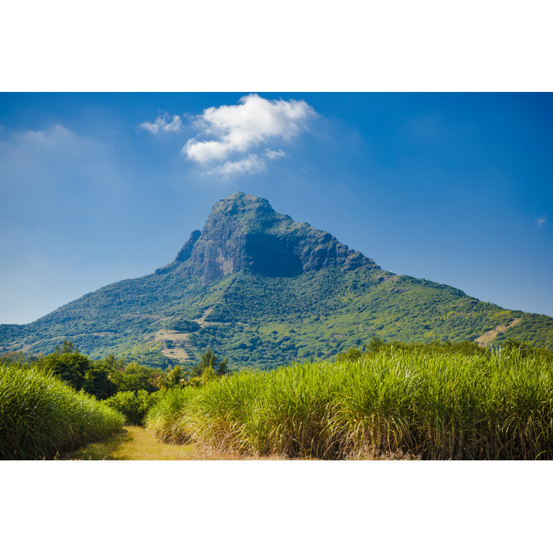 Cesela Nature Park - Wrapped Canvas Print, 30cm H x 46cm W x 3.8cm D