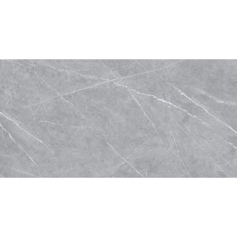 Carreau de porcelaine mat 24 po x 48 po Chaplin, Gris mat