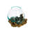 Jarom Glass Driftwood Terrarium Planter 