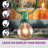 Burroughs 25' Outdoor Plug-in 25 - Bulb Globe String Light-1938768512