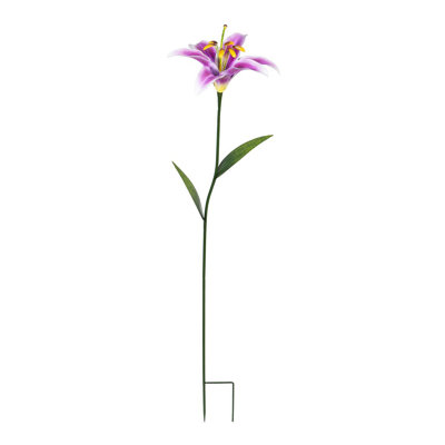Lily de jardin