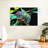 Brampt Chameleon-108695482
