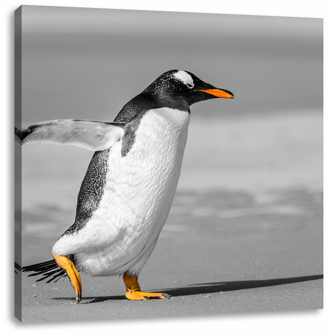 Leinwandbild Watschelnder Pinguin am Strand