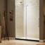 Porte de douche coulissante sans cadre H 79 po