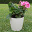Pot de bambou d'intérieur / extérieur rond en bambou 7 po Bamboo Blooms