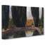 Cypresses by Pierre-Joseph Redoute - Wrapped Canvas-55342699