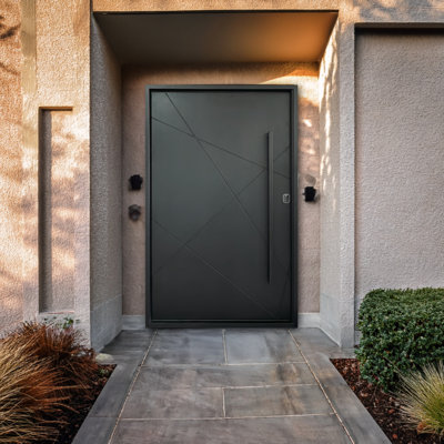 Meridian Iron Pivot Door