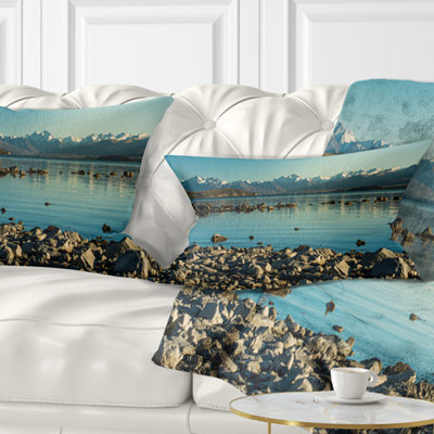 Throw Pillow