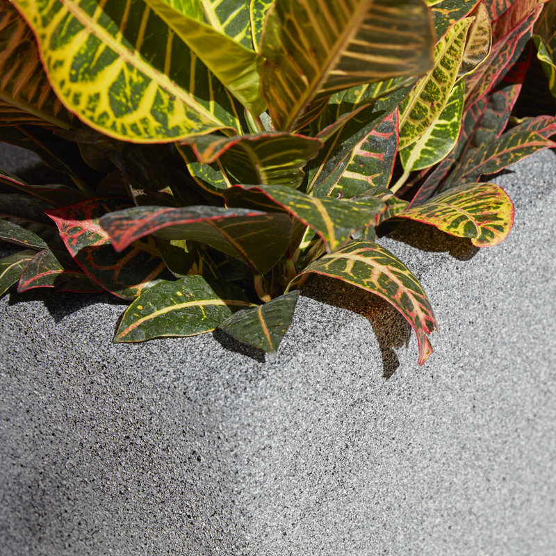 Argentine Trough Planter, Gray Granite