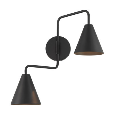 Emilyne 2-Light Adjustable Wall Sconce in Black