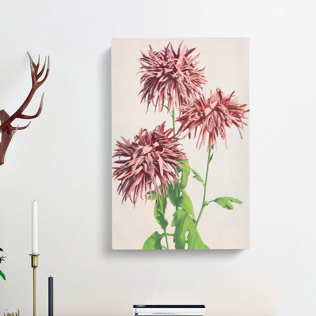 Pink Chrysanthemum Flowers by Ogawa Kazumasa - Wrapped Canvas