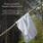 Marguerite Rayon from Bamboo Cotton Blend Bath Towels (Set of 2)-1922870618-1944302919