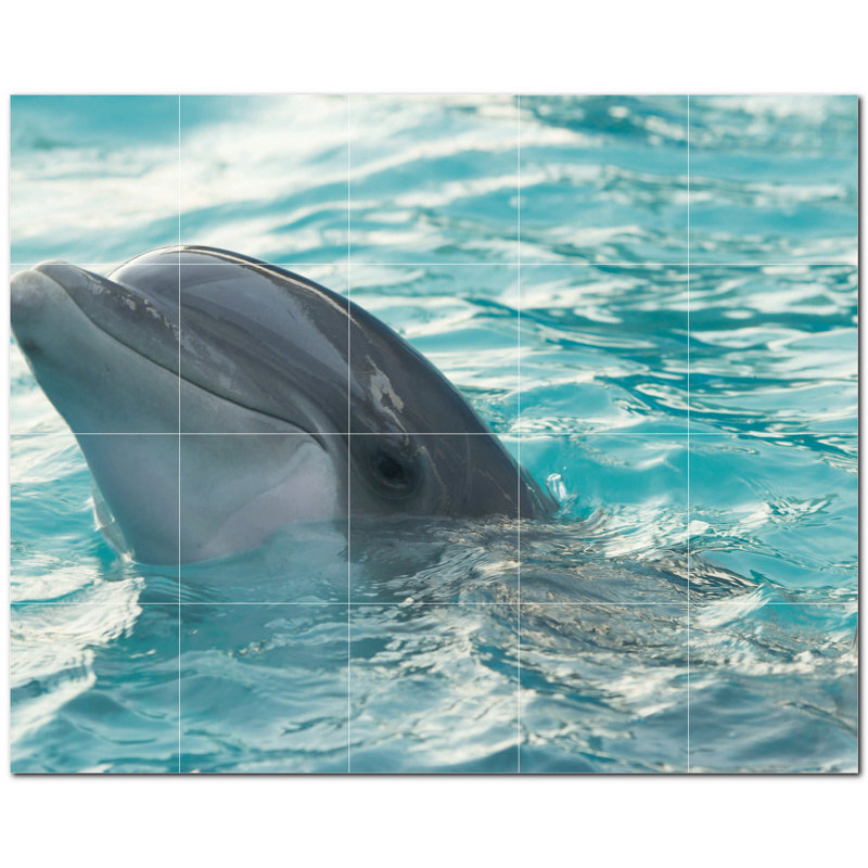 Murale décorative en céramique 6 "x 6" Dolphin Photo