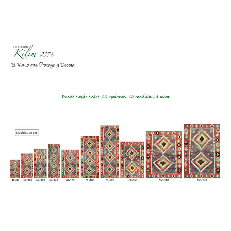 Hadi Southwestern Area Rug, Rectangle 52 x 100cm