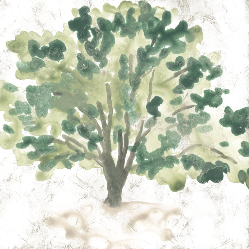Country Tree I by June Erica Vess - Wrapped Canvas Painting, 122cm H x 122cm W