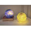 Brandisha Glass Novelty Lamp