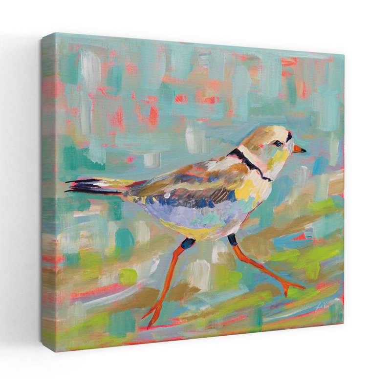 Pluvier côtier, oiseau, art côtier, H 36 po x l 36 po