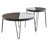 Gervasia Two Toned Side Table