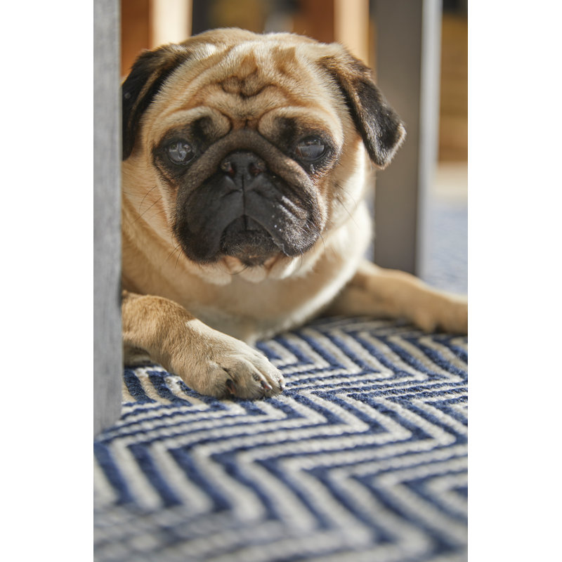 Logon Chevron Hand Woven Indoor / Outdoor Area Rug, Rectangle 160 x 230cm