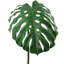 Fausse plante Philodendron
