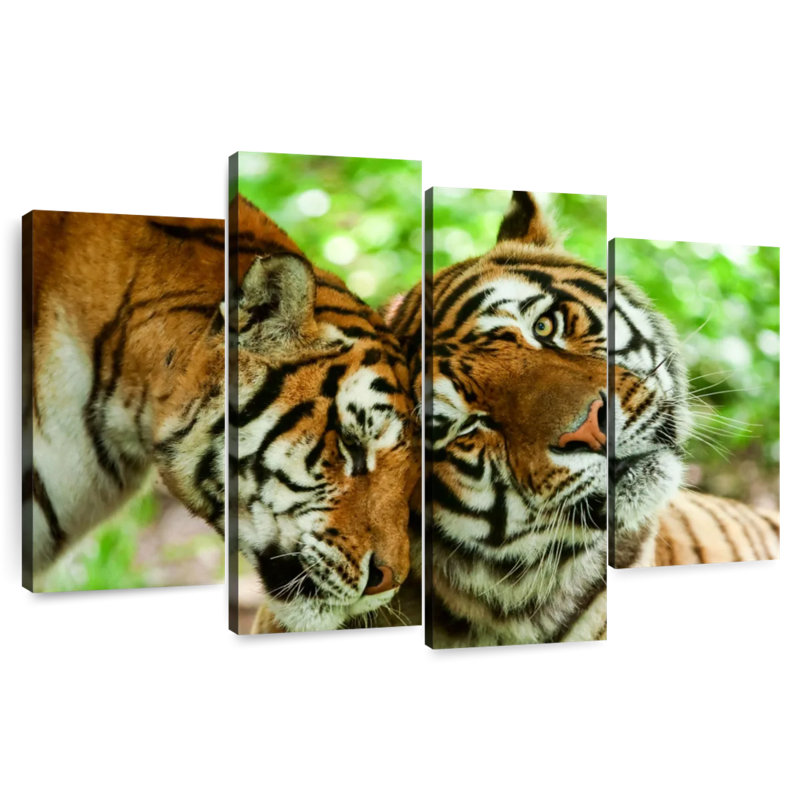 Loving Tigers, 54" H x 84" W