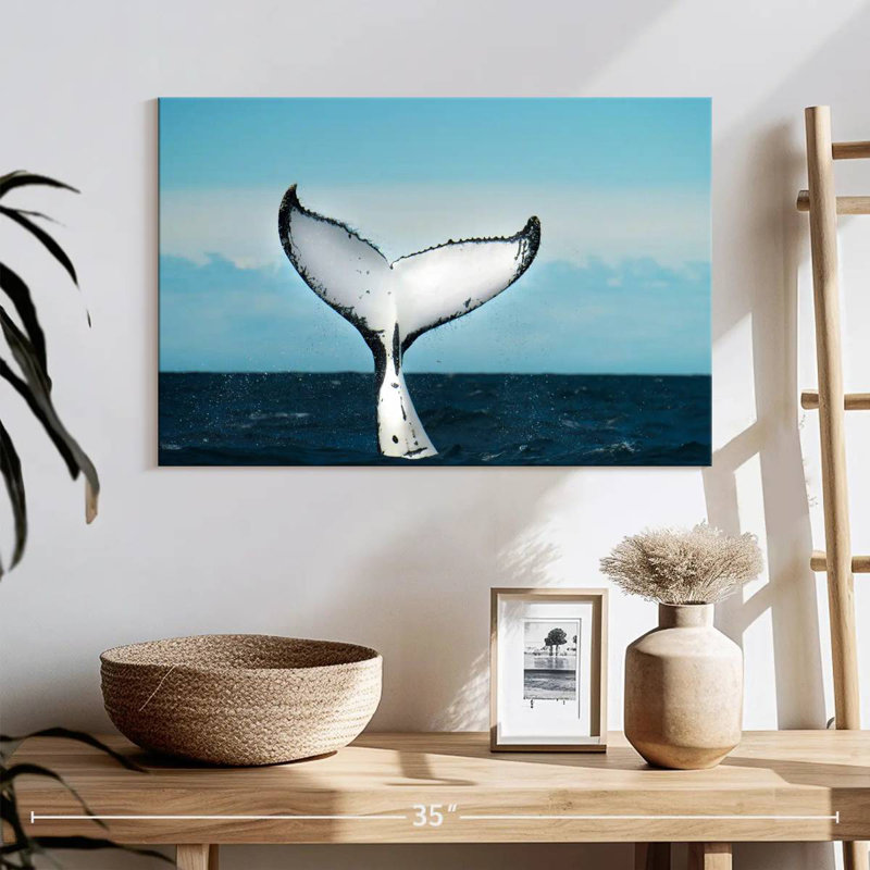 Baleine Brampt, H 16 po x l 24 po