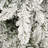 Regular (Full) Artificial Christmas Tree with White Needles