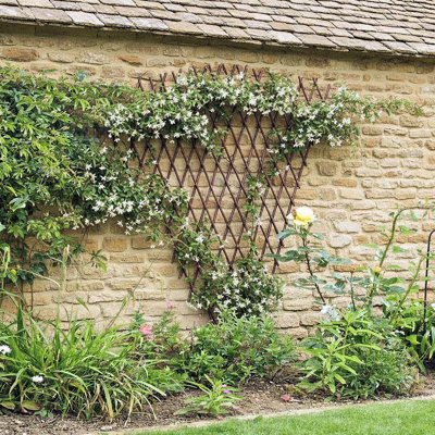 Treillis extensible Brown Willow