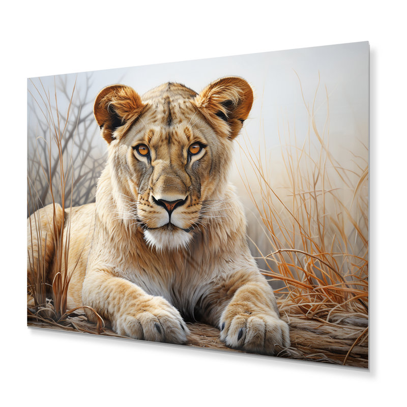 Lionne d'Afrique, puissance I - animaux, décoration murale en métal, H 12 po x l 20 po