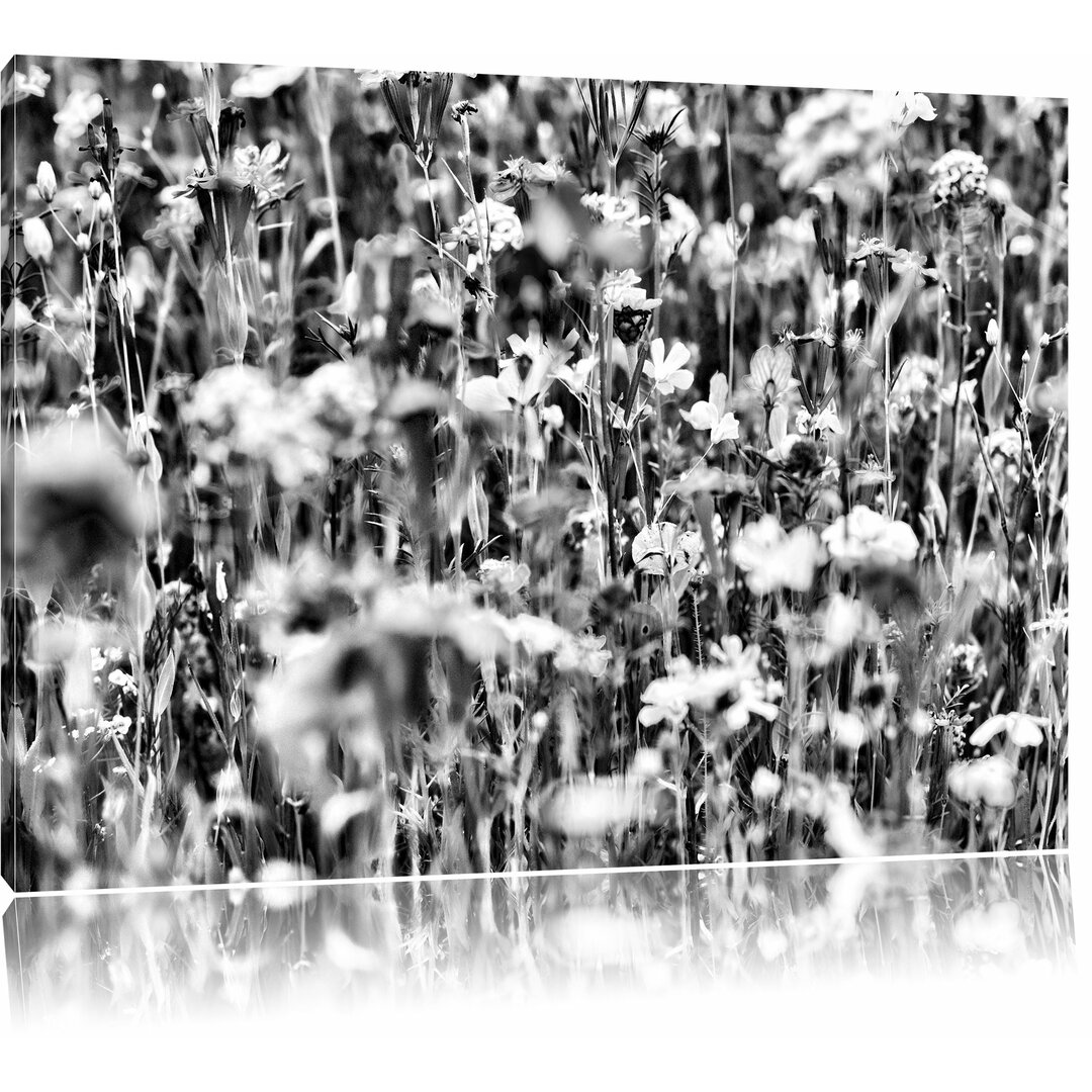 Leinwandbild Wundervolle Blumenwiese in Monochrom