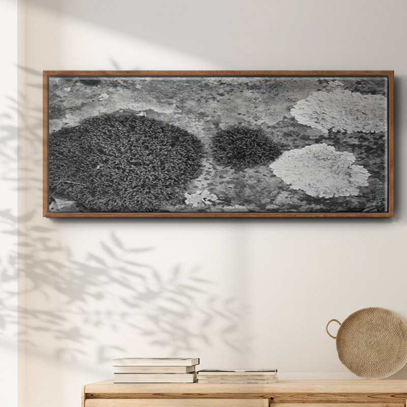 Found Textures XIX- Framed Canvas, 24" H x 60" W