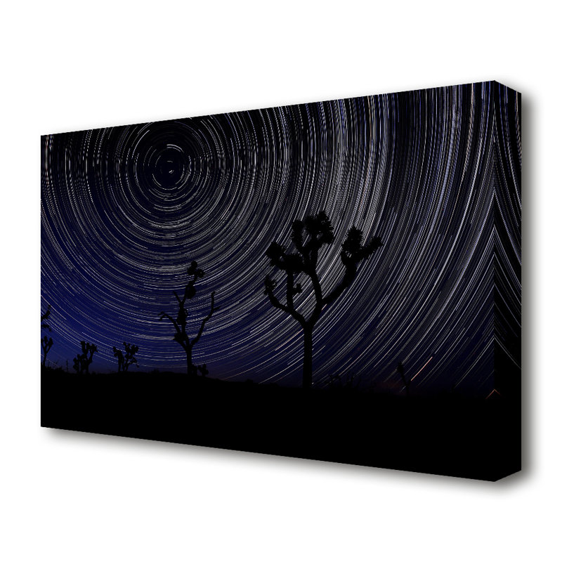Vortex Trees 1 Landscape - Wrapped Canvas Print, 66 cm H x 101.6 cm W