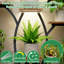 Support pour plante d'intérieur 44 "avec lumière de croissance, tablette à 8 niveaux pour plantes multiples