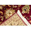Hand-Knotted High-Quality Red and Ivory Area Rug