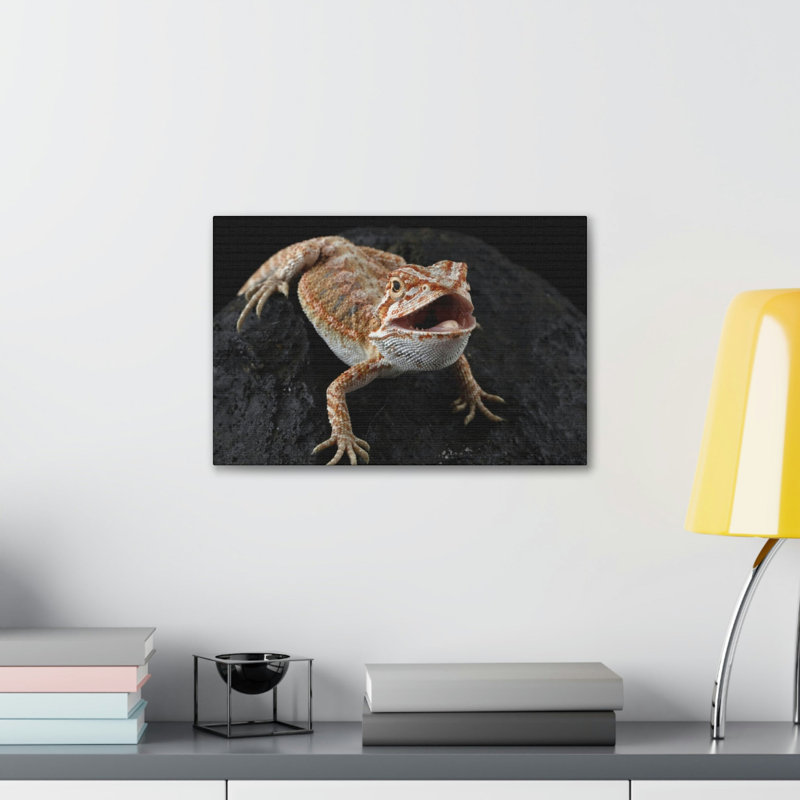 No Frame Print on Canvas, 30.48cm H x 40.64cm W