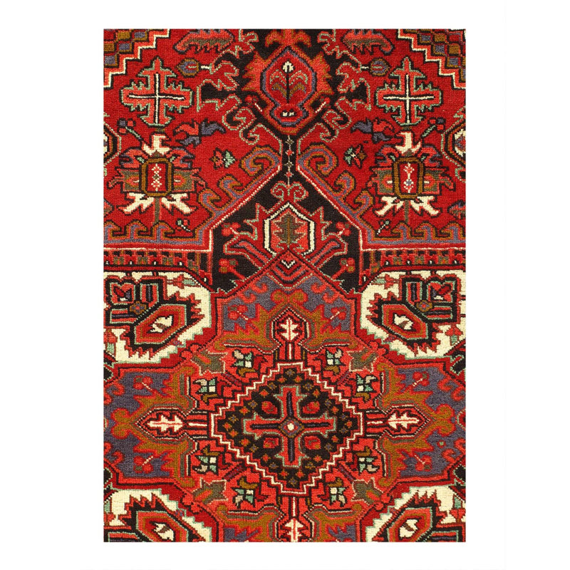 Oriental Area Rug