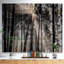 «Sunbeam Through Black White Forest», photographie-35125694-35125691