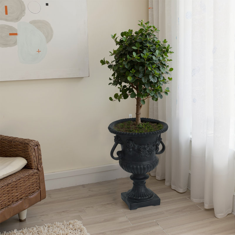 Filtres d'urne d'intérieur pour jardin, Noir antique