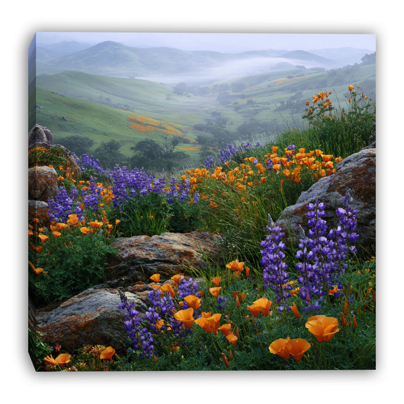 Art mural sur toile Poppy Hills Morning, H 40 po x l 40 po x P 1,5 po