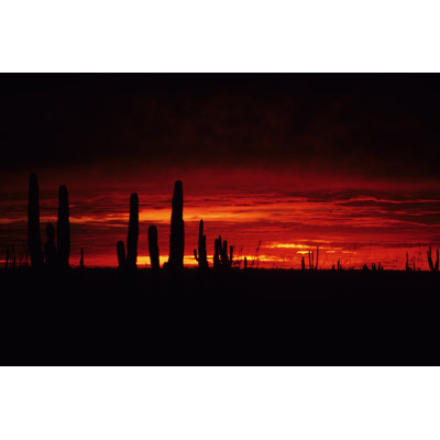 «Red Desert» par Tammy616