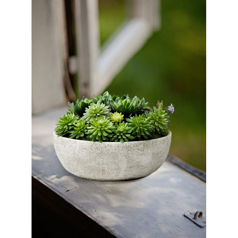 Succulent dans un pot, Ensemble de 8