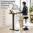 Wobble Stool Standing Desk Stool - 24-34 Inch Height Adjustable Active Sitting Balance Stool -351180727
